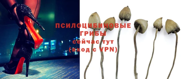 дмт Арсеньев