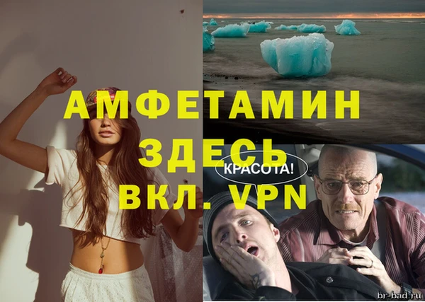 стаф Аркадак